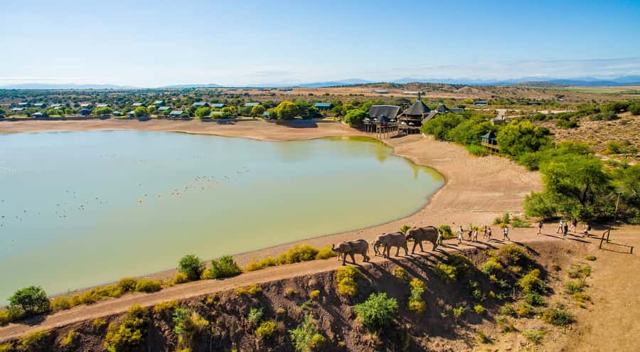 Cape Town: 2-Day Wildlife Tour with Safaris and Luxury Stay - Key points to know before booking
