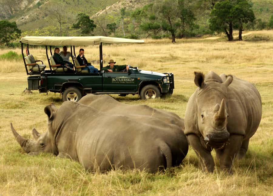 Cape Town: 2-Day Wildlife Tour with Safaris and Luxury Stay - FAQ