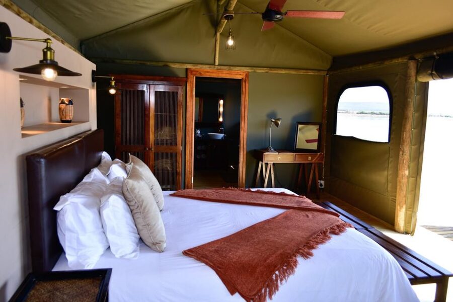Cape Town: 2-Day Wildlife Tour with Safaris and Luxury Stay - The optional elephant observation
