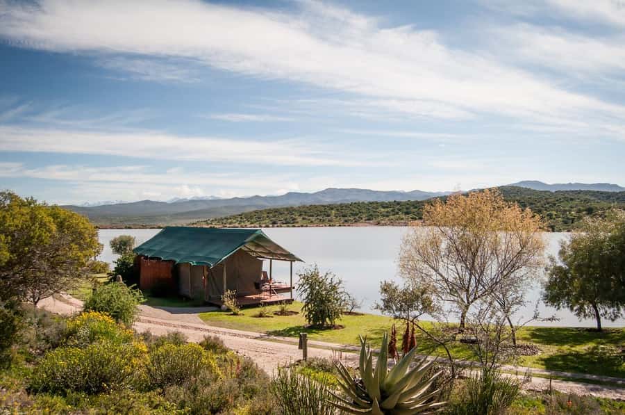 Cape Town: 2-Day Wildlife Tour with Safaris and Luxury Stay - Route 62: a scenic finish with a long return