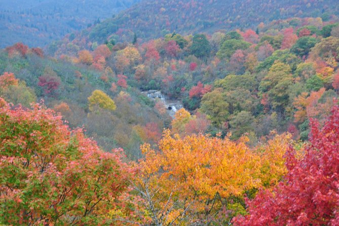 Carolina Waterfalls and Highlands Private VIP Boutique Tour - Highlands brings a town break into the day