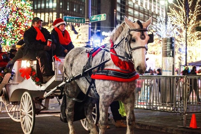 Carriage Ride in Central Park (VIP - PRIVATE) Since 1964™ - What this private carriage ride is really like