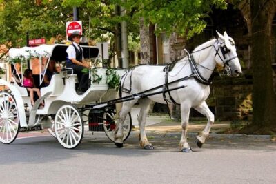Carriage Ride in Central Park (VIP – PRIVATE) Since 1964™