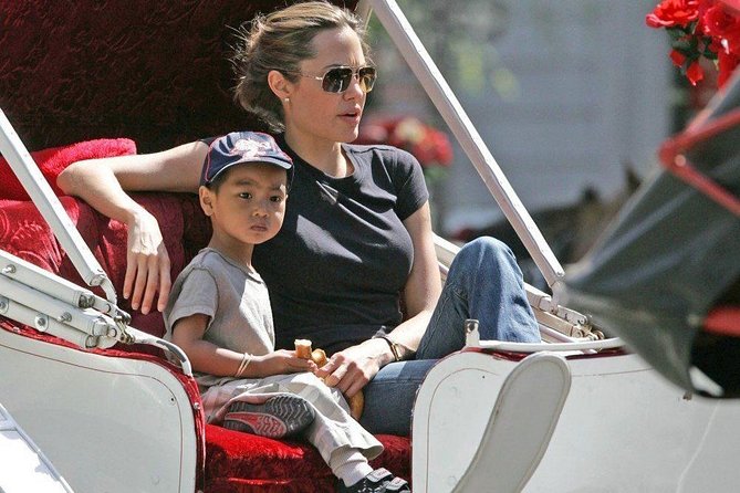 Carriage Ride in Central Park (VIP - PRIVATE) Since 1964™ - Why the guide can make or break the experience