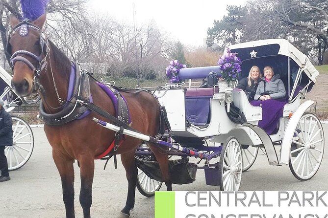 Carriage Ride in Central Park (VIP - PRIVATE) Since 1964™ - Cold weather, blankets, and the horse