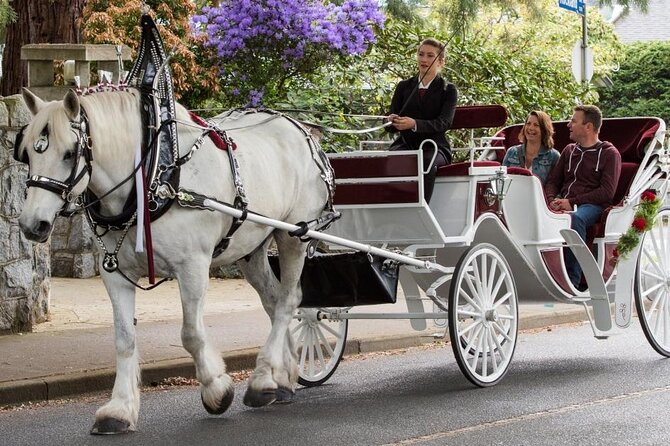 Carriage Ride in Central Park (VIP - PRIVATE) Since 1964™ - Group size, price, and booking value