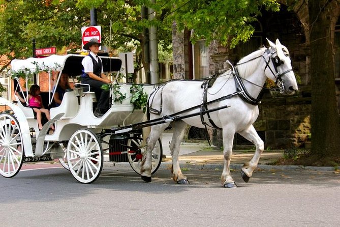 Carriage Ride in Central Park (VIP - PRIVATE) Since 1964™ - Starting near Wollman Rink and the Plaza Hotel