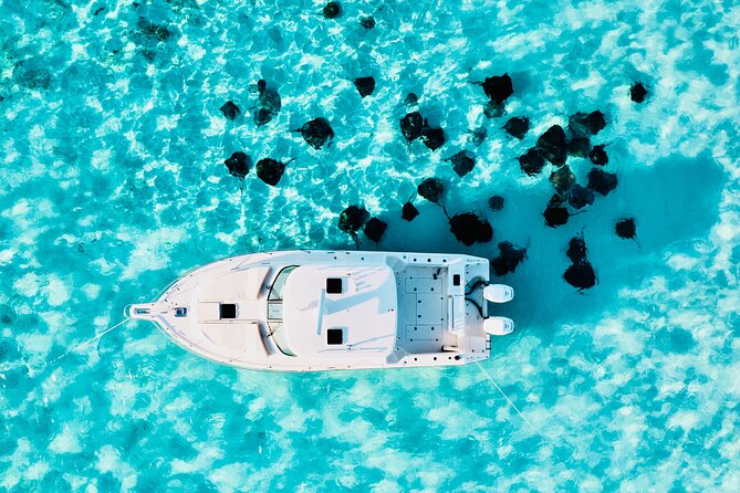 Cayman Private Luxury Charters - Stingray City, Snorkel, & More - Why a private charter changes the Grand Cayman day