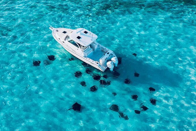 Cayman Private Luxury Charters - Stingray City, Snorkel, & More - Coral Gardens near Rum Point for a 45-minute snorkel