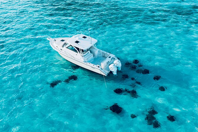 Cayman Private Luxury Charters - Stingray City, Snorkel, & More - Starfish Point, a calm stop for younger children