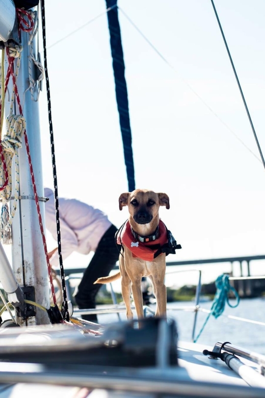 Charleston: Private BYOB Luxury Yacht Cruise - Passing the Charleston Battery