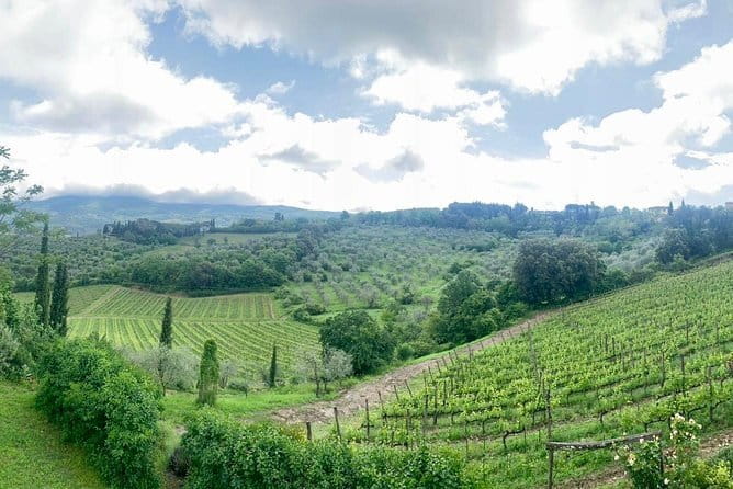 Chianti Vineyards Tours in Private Luxury Van from Florence - The Chiantigiana road is part of the tour