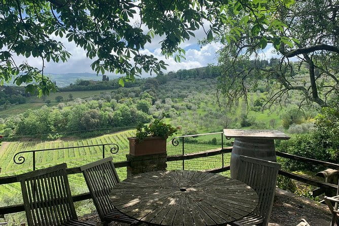 Chianti Vineyards Tours in Private Luxury Van from Florence - San Casciano and the small-estate approach
