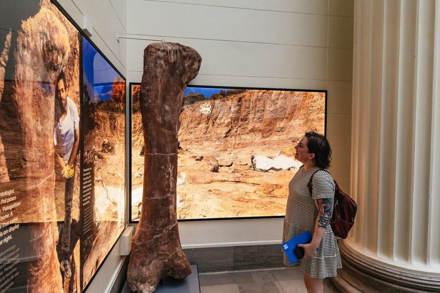 Chicago: Field Museum of Natural History Ticket or VIP Tour - Key points to know before you go