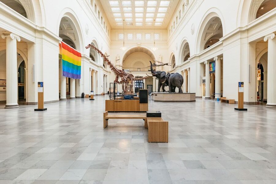 Chicago: Field Museum of Natural History Ticket or VIP Tour - Ancient cultures, animals, and human stories