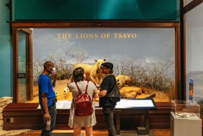 Chicago: Field Museum of Natural History Ticket or VIP Tour