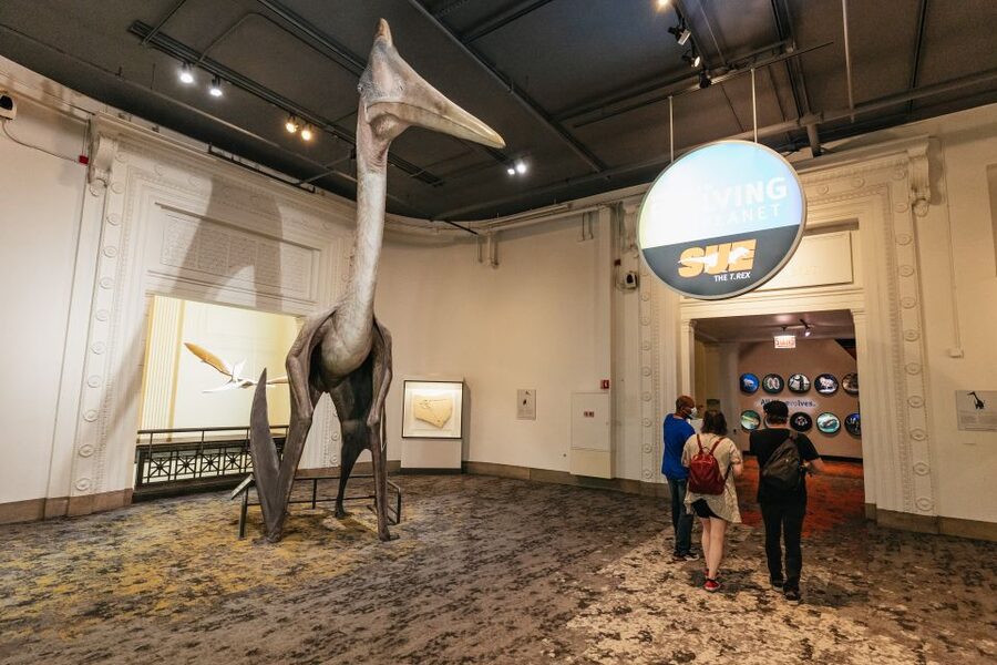Chicago: Field Museum of Natural History Ticket or VIP Tour - Gems, science, and the less obvious rooms