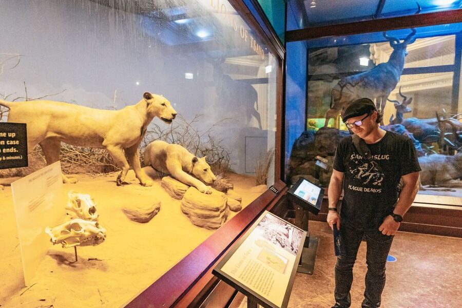 Chicago: Field Museum of Natural History Ticket or VIP Tour - Choosing the right ticket