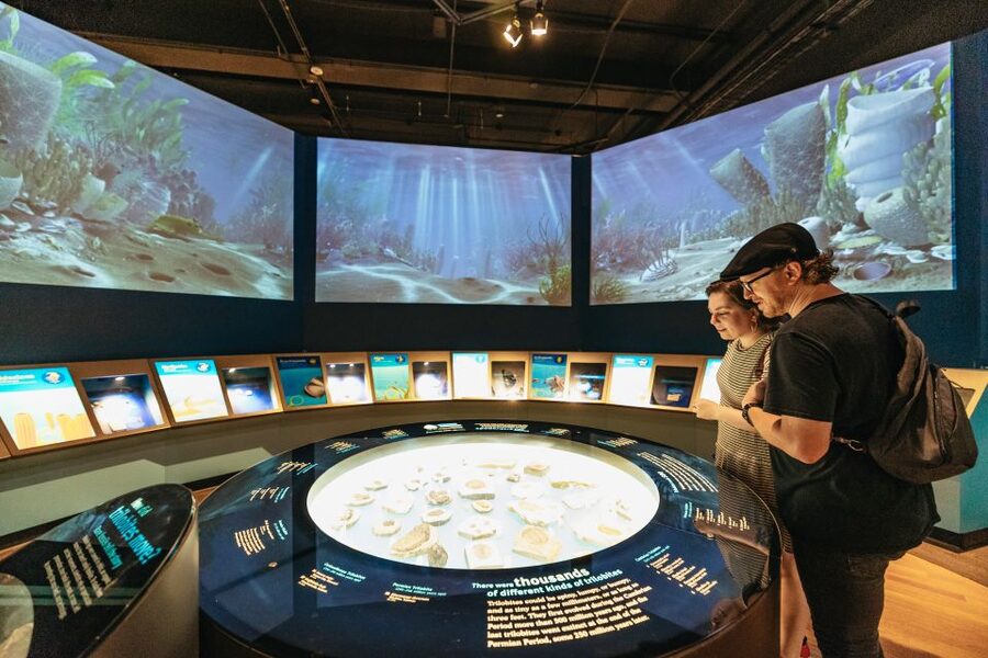 Chicago: Field Museum of Natural History Ticket or VIP Tour - Timing, crowds, food, and comfort