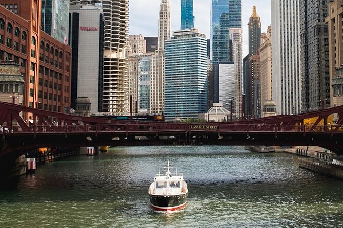 Chicago Luxury Minibus City Tour and Architecture River Cruise - Willis Tower, Field Museum, and Adler Planetarium