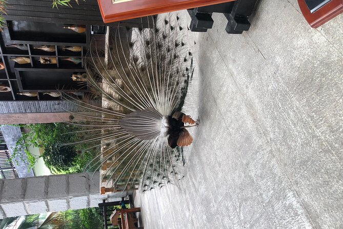 Chongqing Luxury Hot Spring and Massage Luxury Meal Private Tour - From hot water to a Chinese-style massage