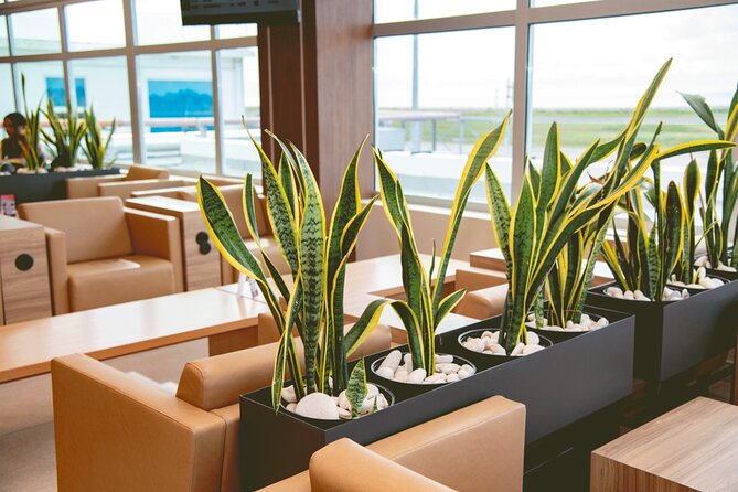 Club Mobay Sangster Airport VIP Lounge with Priority Entry - The $37.50 value: who gets the most from it