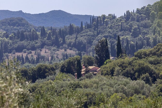 Corfu Grand Island VIP Tour - Angelokastro appears above the road