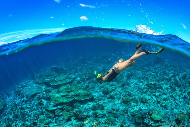 Cozumel Luxury Sailing & Snorkeling Cruise Experience - Timing problems and weather cancellations