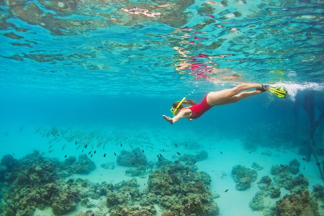 Cozumel Luxury Sailing & Snorkeling Cruise Experience - What to pack and confirm before departure
