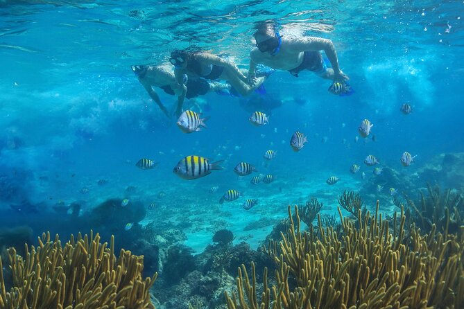 Cozumel Luxury Sailing & Snorkeling with Lunch and Open Bar Onboard - Swimming, paddleboards, and time in the water
