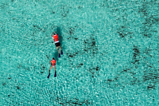 Cozumel: VIP Access Pass at KUZÁ Beach & Adventure Park - What to pack and how to plan your day