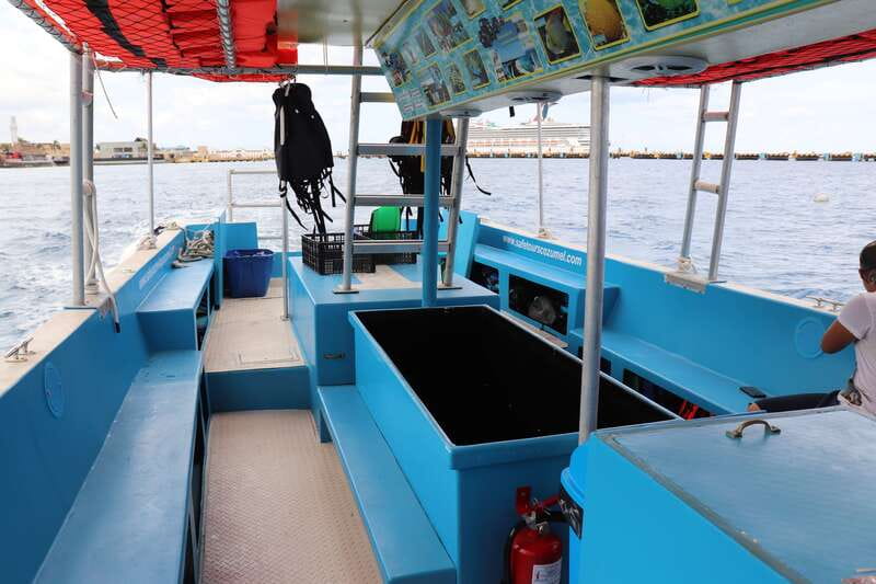 Cozumel: VIP Glass Bottom Boat & Snorkeling 3 Reefs Tour - Shallow Paradise Reef: More Time to Spot Fish