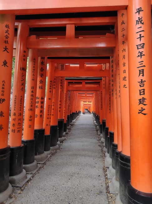 Craig's Kyoto Private Luxury Alphard Tour / The Early Riser - Quieter temples and personal route changes