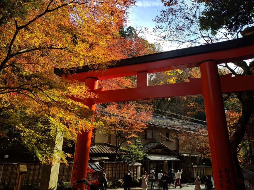 Craig's Kyoto Private Luxury Alphard Tour / The Early Riser - Bamboo groves and western Kyoto