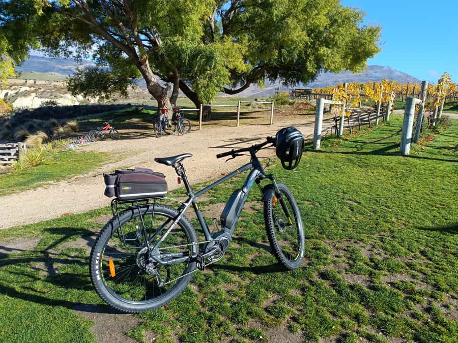 Cromwell: Lake Dunstan Trail Bike Rental and Luxury Shuttle - The clip-ons and Hugo suspension bridge