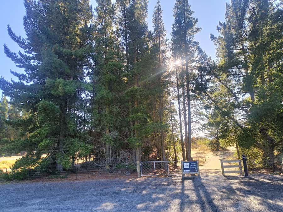 Cromwell: Lake Dunstan Trail Bike Rental and Luxury Shuttle - Carrick Winery and the planned refreshment pause