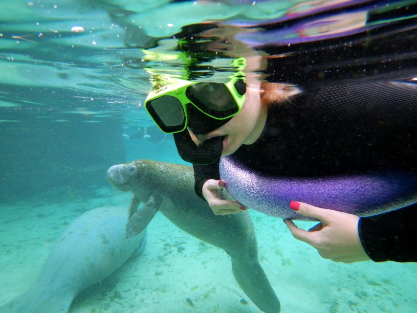 Crystal River: VIP Manatee Swim w/ In-water Photographer - Boarding the six-person covered pontoon