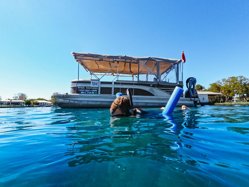 Crystal River: VIP Manatee Swim w/ In-water Photographer - When to go for the best chance of sightings