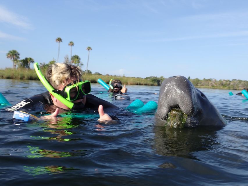 Crystal River: VIP Manatee Swim w/ In-water Photographer - Who will enjoy this trip most?