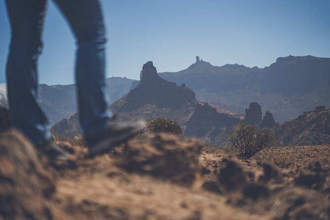 Custom Private & VIP Highlights Tour of Gran Canaria - Cruz de Tejeda and the central mountains