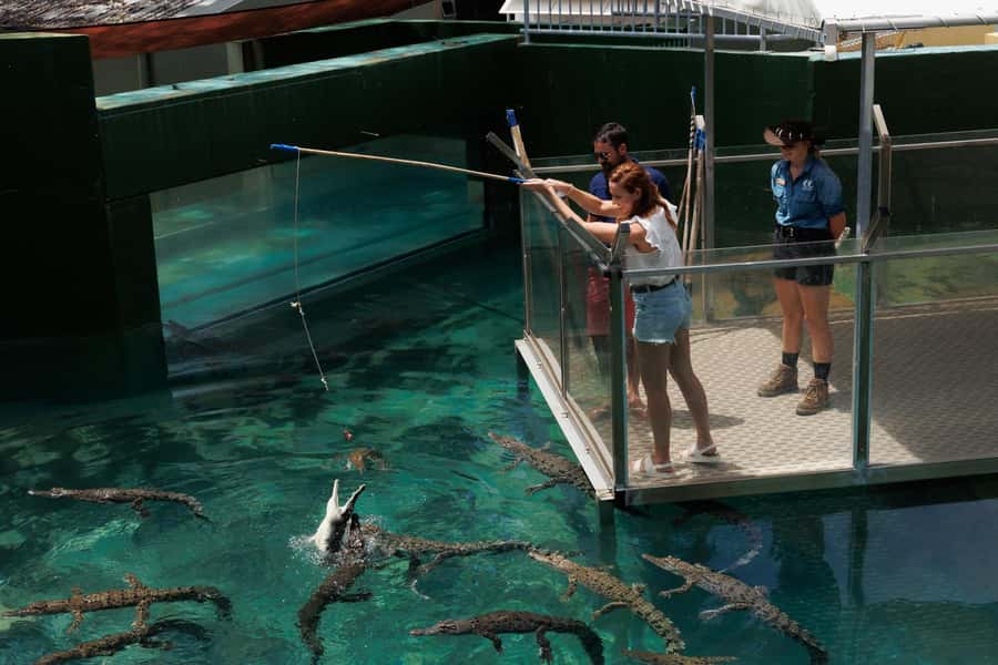 Darwin: VIP Crocosaurus Cove Experience - Key points to know before you book