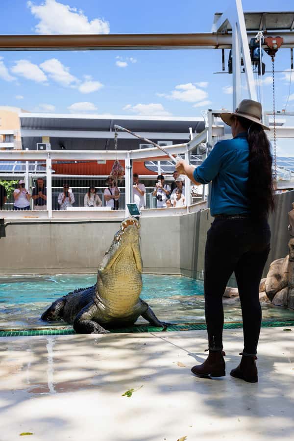 Darwin: VIP Crocosaurus Cove Experience - Feeding a 5-meter crocodile in Darwin