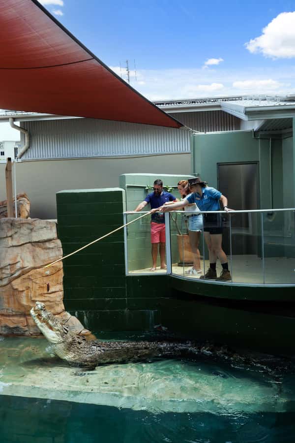 Darwin: VIP Crocosaurus Cove Experience - Holding a baby crocodile under supervision