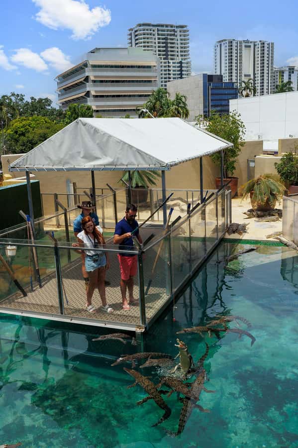 Darwin: VIP Crocosaurus Cove Experience - Is the $66 price good value?