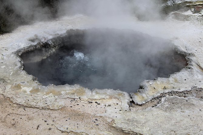 Day Tour Hobbiton + Rotorua from Auckland in Luxury Minibus - The road to Rotorua and lunch at Te Puia