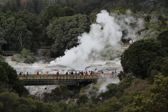 Day Tour Hobbiton + Rotorua from Auckland in Luxury Minibus - A short look at Lake Rotorua