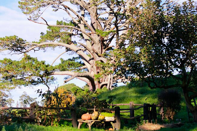 Day Tour Hobbiton + Rotorua from Auckland in Luxury Minibus - What the $312.77 price really buys