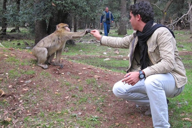 Days 2 / 1 Night In Sahara Desert From Fez To Fez ( Luxury ) - Errachidia and the Ziz Valley