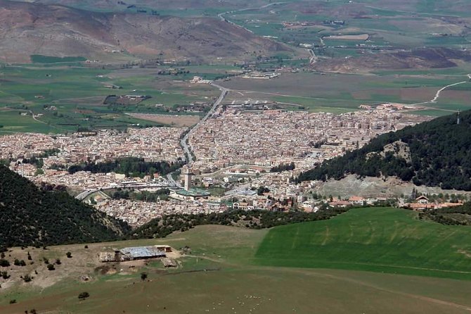 Days 2 / 1 Night In Sahara Desert From Fez To Fez ( Luxury ) - Azrou and the Middle Atlas Cedar Forests