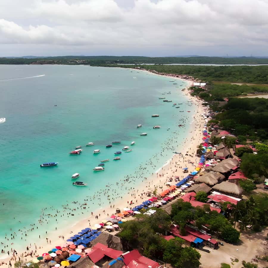 Daytour to Playa Tranquila VIP with Parasols, Lunch by bus! - What guides and communication are like